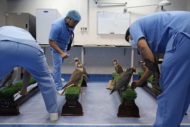 Foto: Gettyimages