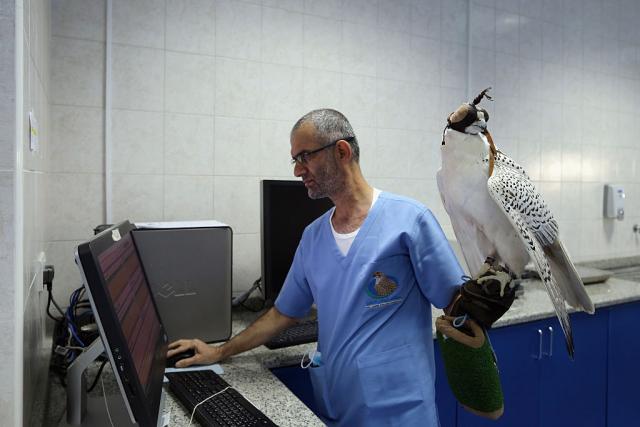 Foto: Gettyimages