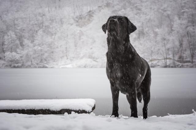 Foto: Thinkstock