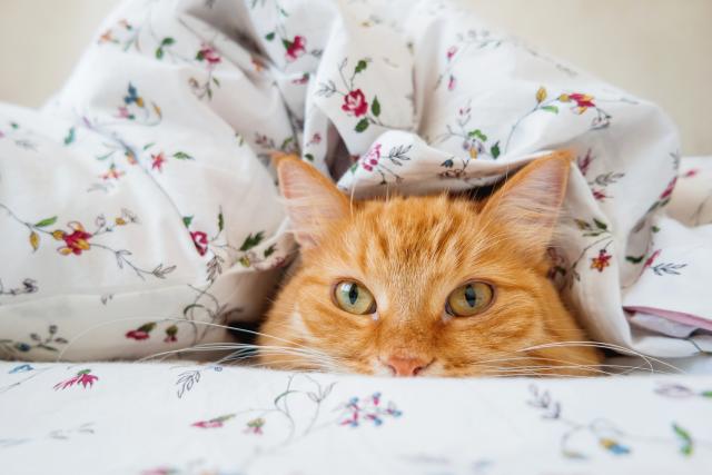 Foto: Thinkstock