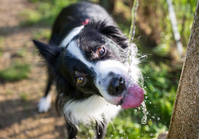Foto: Thinkstock