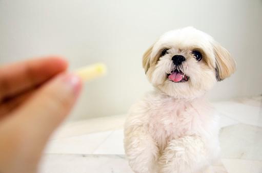Foto: Thinkstock.com