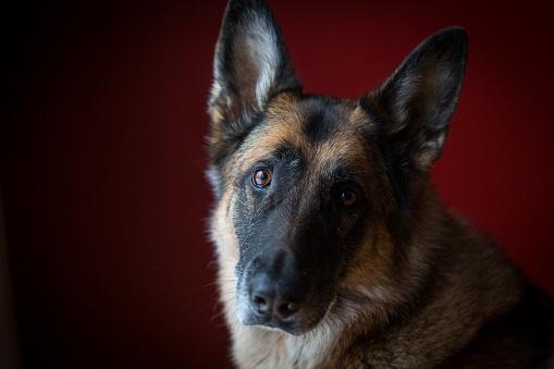 Foto: Thinkstock.com
