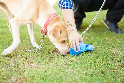 Foto: Thinkstock