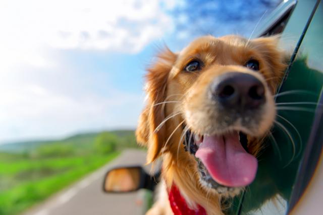 Foto: Thinkstock