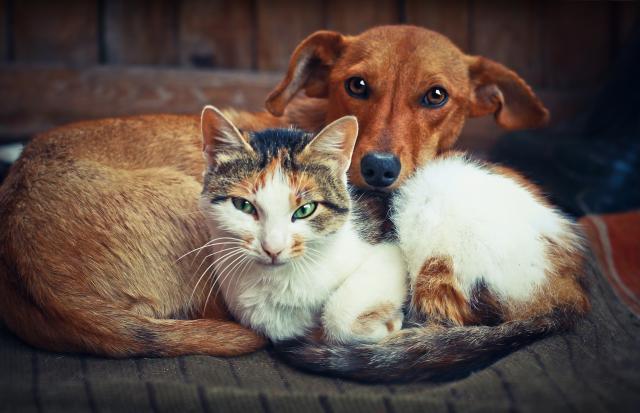 Foto: Thinkstock