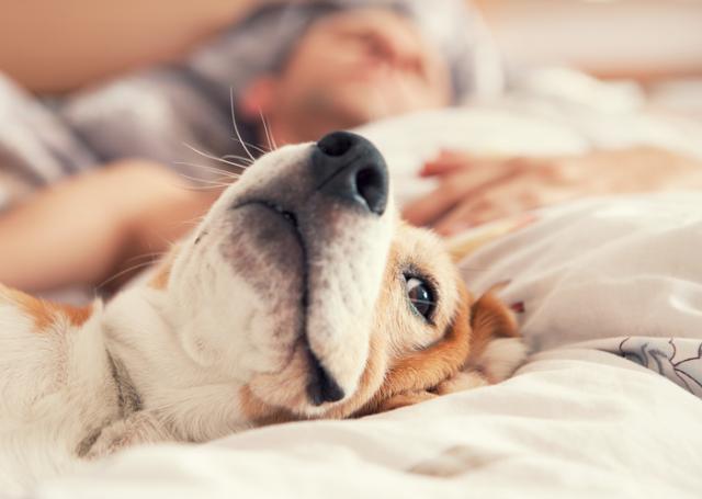 Foto: Thinkstock
