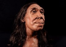 Novi 3D model: Neandertalci su za bili drugaija vrsta od nas, ali i slini nama na mnogo naina/BBC Studios/Jamie Simonds