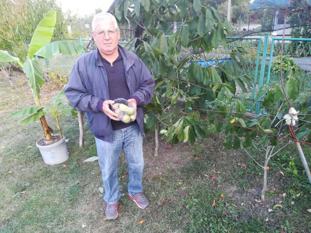 Foto: Ljiljana Pavlović