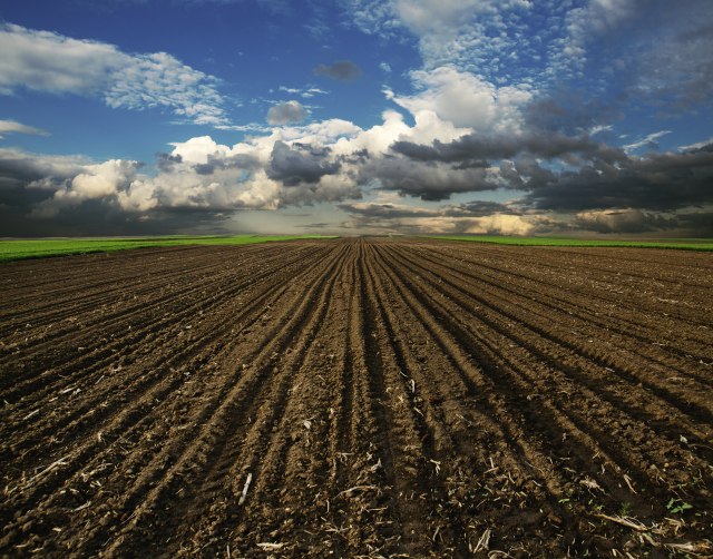 Foto: Thinkstock