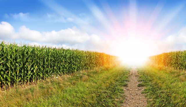 Foto: Thinkstock