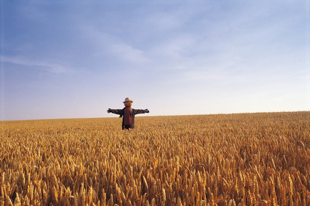 Foto: Thinkstock
