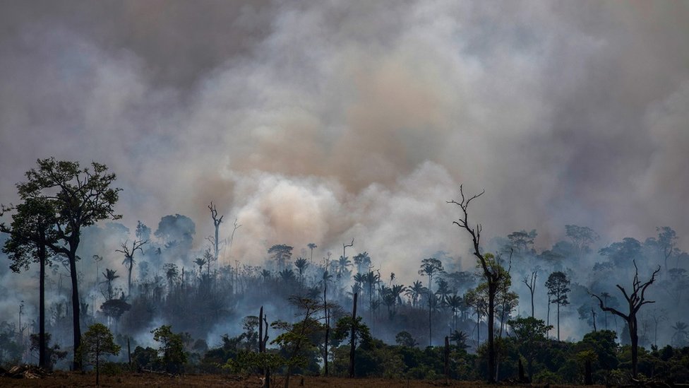 Bolsonaro je bio meta kritika zbog poara u praumi Amazona, iji broj se poveao za 80 odsto ove godine/AFP