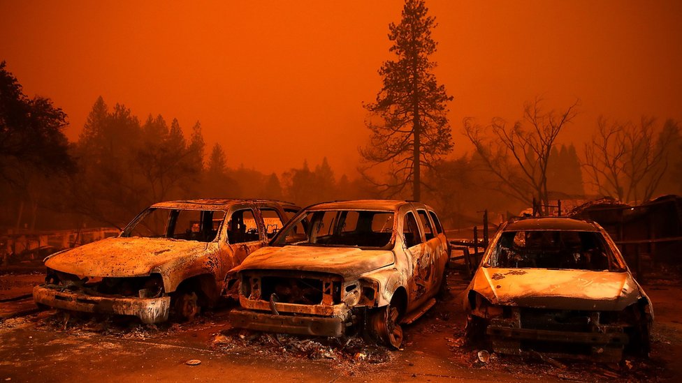 U velikom poaru prole godine u Kaliforniji stradalo je 86 ljudi/Getty Images