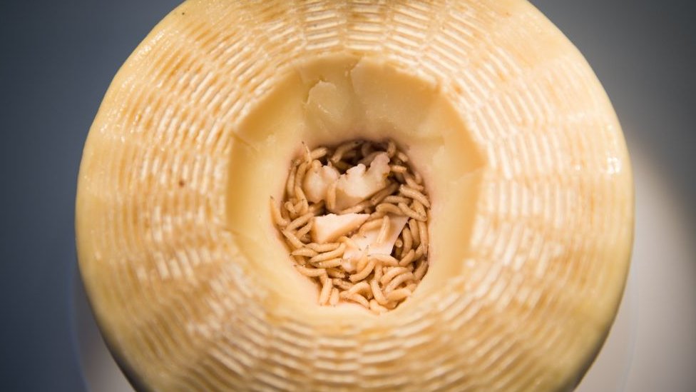 Kasu marzu sir ima jak ukus koji delom dolazi od izmeta larvi/Getty Images