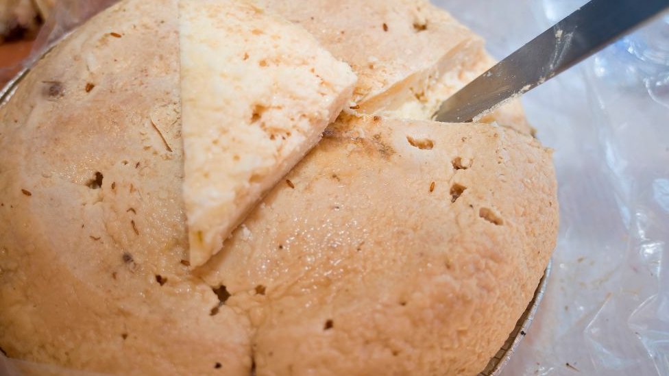 Kasu Marzu smatra se &najopasnijim sirom na svetu&/Getty Images