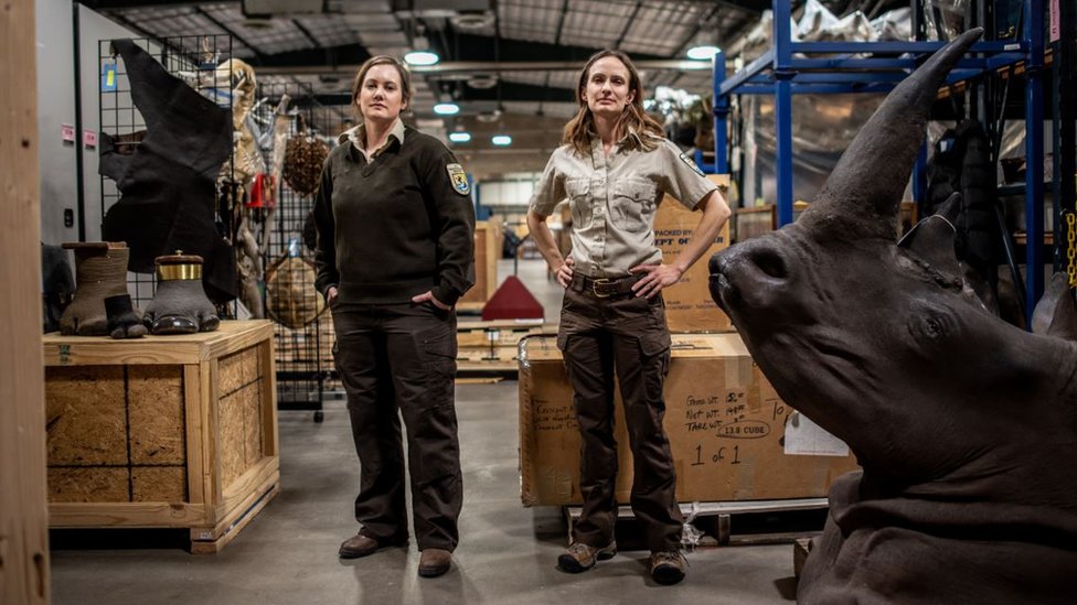 Elisa Dalberg i Sara Mecer objanjavaju kako zaustaviti globalnu trgovinu divljih ivotinja/BBC