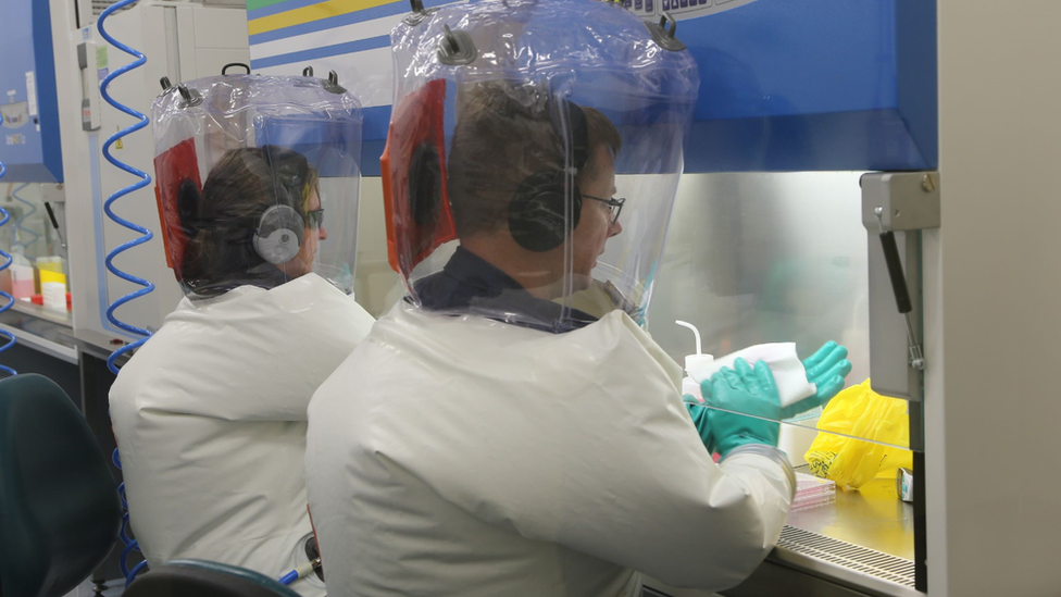 Naunici organizacije CSIRO testiraju dve potencijalne vakcine/CSIRO