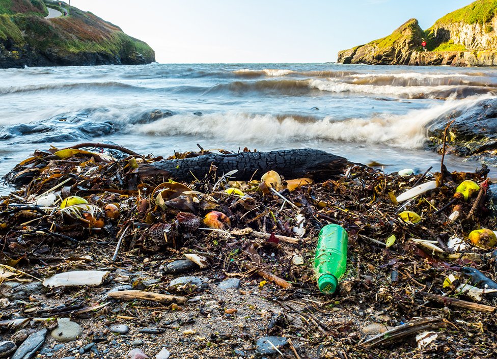 Plastika na plai je veoma mali deo onoga to se zapravo nalazi u moru/Getty Images