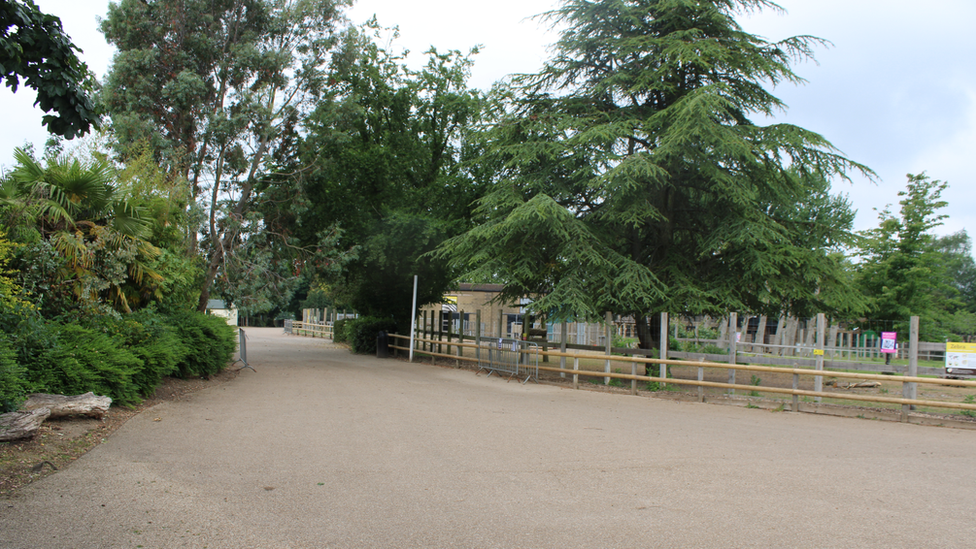Zooloki vrt zatvoren je za posetioce vie od dva meseca/Twycross Zoo