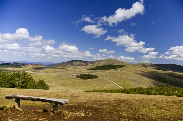 Foto: Deposithphotos / YAYImages