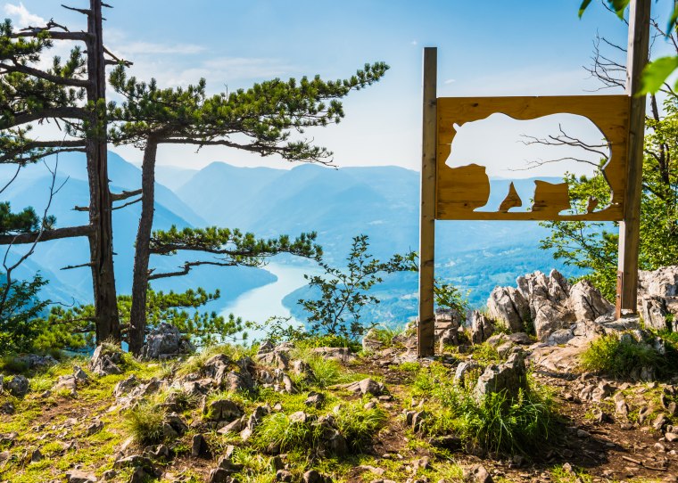 Foto: Depositphotos/ leelook 