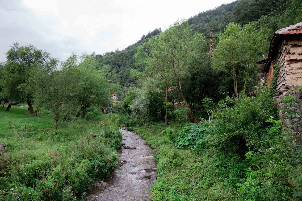 Selo Rakita i njegova reka - simbol otpora staroplaninskih aktivista/BBC/Lazara Marinkovi