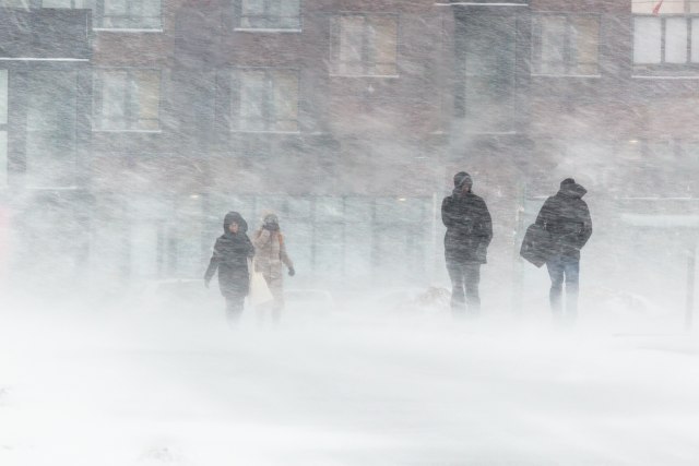 Foto: Shutterstok/justoomm