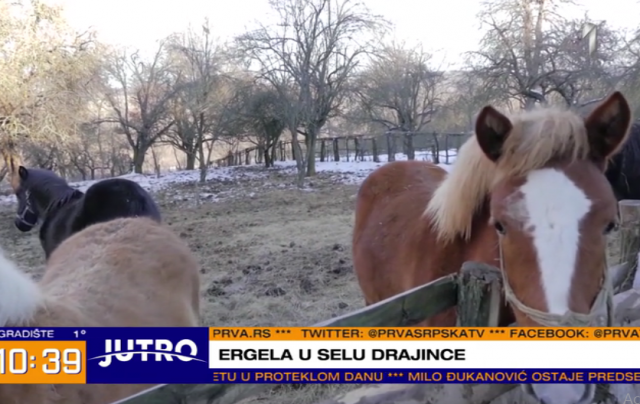 Foto: Printskrin/Prva TV