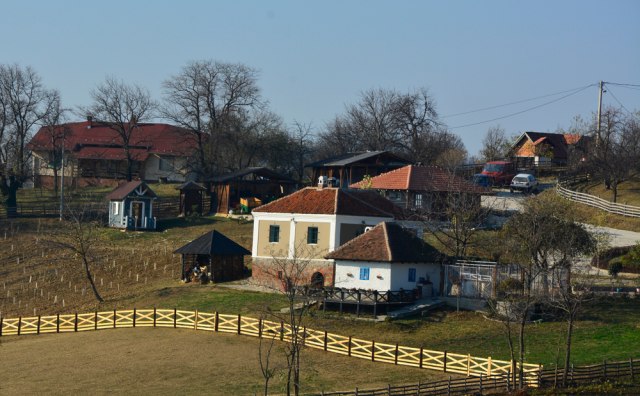 Foto: Predrag Lukic/Shutterstock