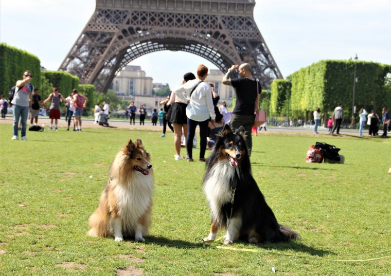 Foto: Mammukas / shutterstock