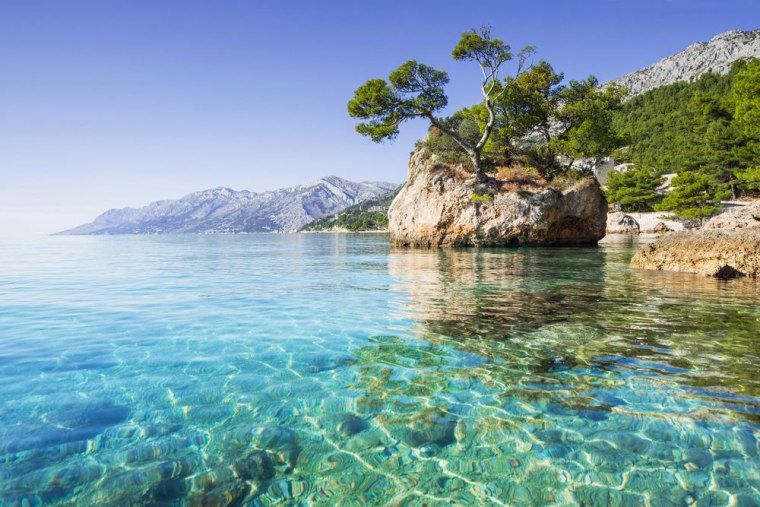 Ilustracija/Foto: Kite_rin/Shutterstock