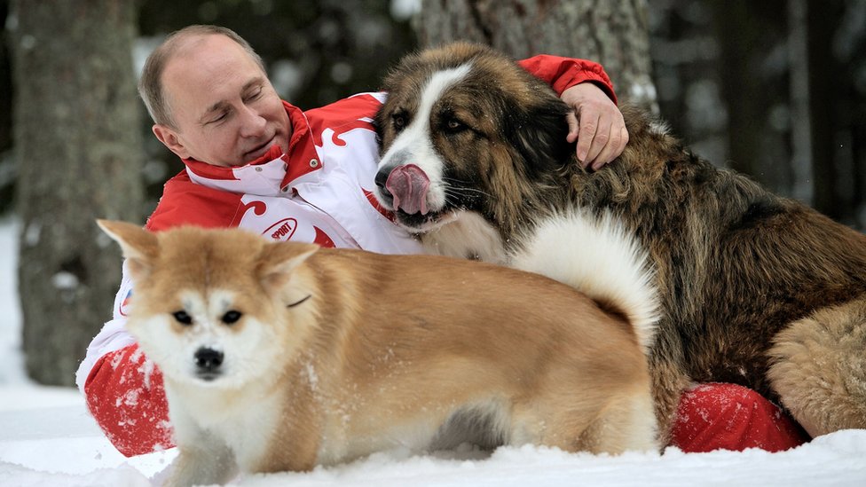 Mart 2013. godine: Putin se igra sa svojim psima u snegu nadomak Moskve/AFP