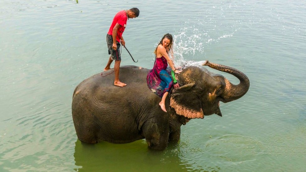 Turisti uivaju u kupanjima sa slonovima/Getty Images