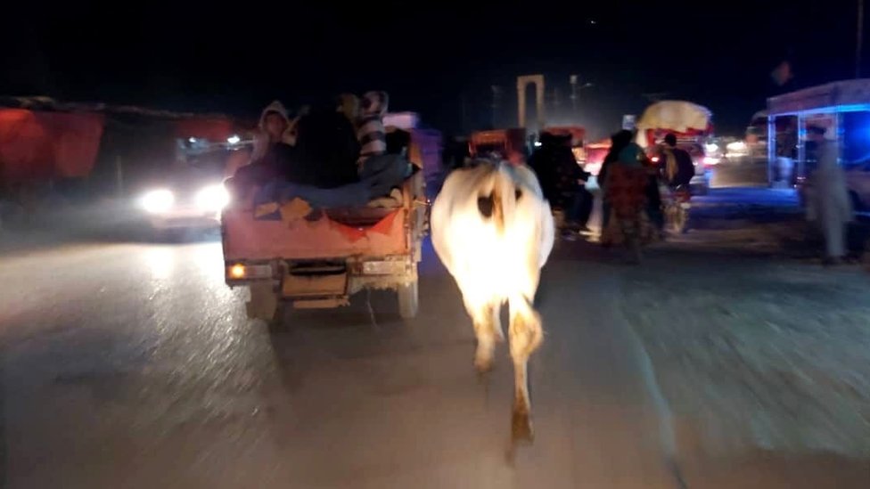 Gul Muhamed je poveo kravu u Lakar Gah/Gul Mohammad