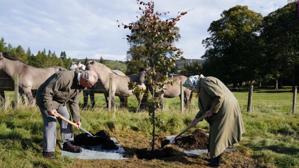 Princ arls sadi drvo sa majkom u kotskoj/Getty Images