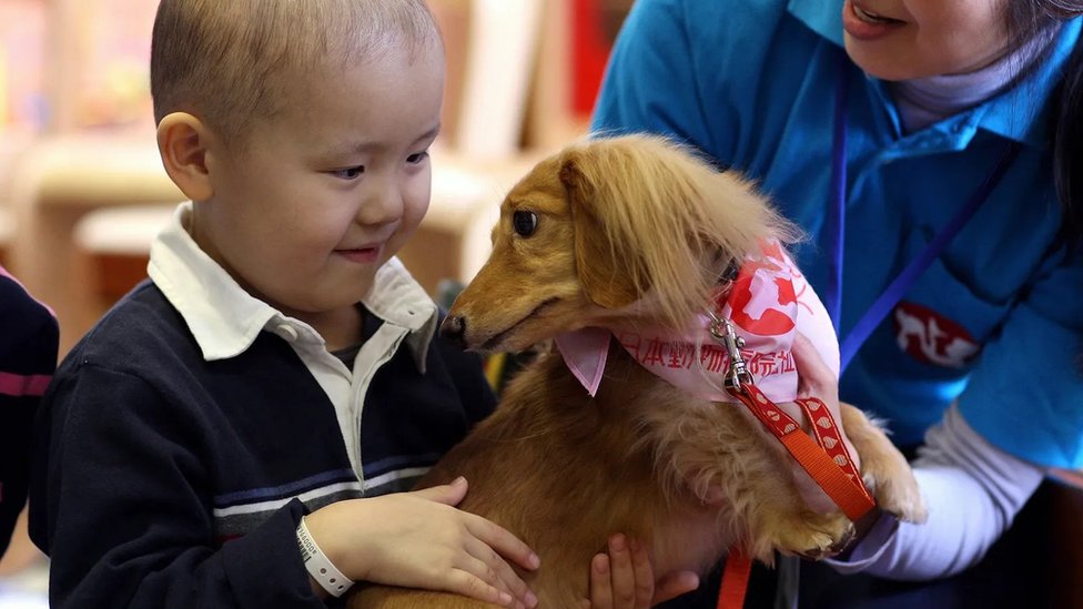 Deak se vezuje za psa u bolnici u Tokiju. Kuni ljubimci mogu da budu korisni za razvoj dece na mnogo razliitih naina, pokazuju studije/Getty Images