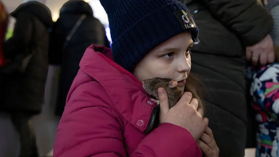 Ukrajinka mazi ljubimca na eleznikoj stanici u Varavi. Deca klasifikuju kune ljubimce kao neka od najvanijih bia u svom ivotu, pokazuje istraivanje/Getty Images