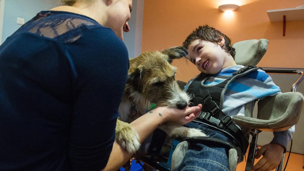 Deak uiva u terapiji uz pomo psa u Francuskoj/Getty Images