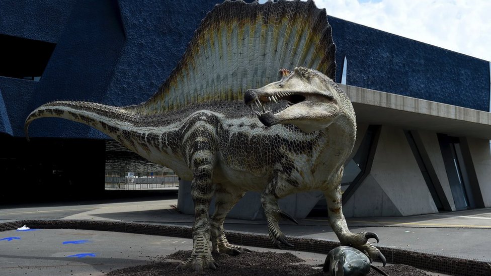 Neki strunjaci misle da je spinosaurus jednostavno koristio jedro kao pomo pri plivanju - ali je moda korieno i za udvaranje/Getty Images