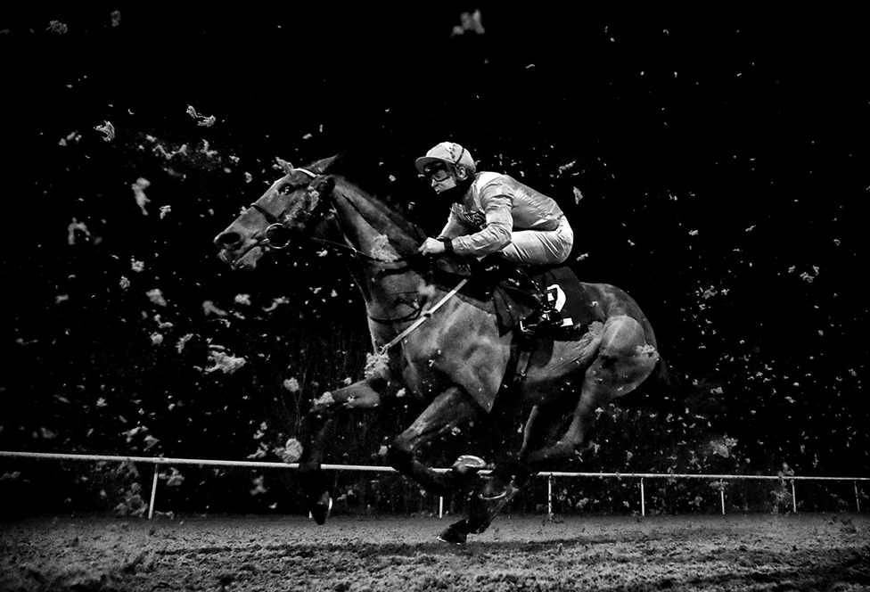 Dokej arls Biop jae na trkakom konju Goring na hipodromu u Vulverhemptonu/Mike Egerton