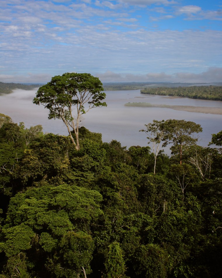 Amazonija, Foto: Aleksandar Despotovi