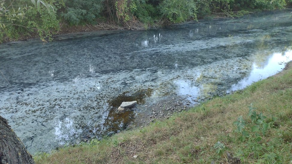 Slika reke Pek iz jula ove godine, kada je, prema tvrdnji Branièevaca, došlo do prvog ispuštanja otpadnih voda/Stevan Gajiæ