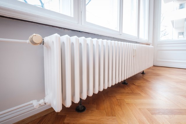 Foto: hanohiki/Shutterstock