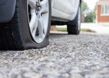 Foto: Elena Berd/Shutterstock