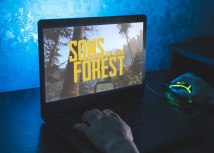 Foto: Rokas Tenys / Shutterstock.com