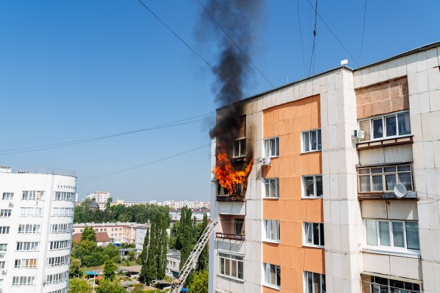 Foto: Shutterstock/Aleksey Matrenin