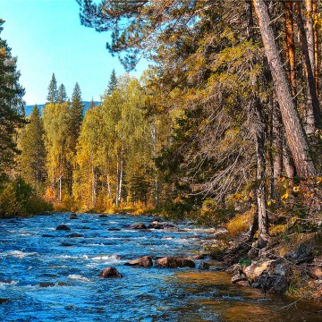 Foto: Shutterstock / DariaGa