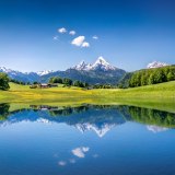 Foto: canadastock/Shutterstock