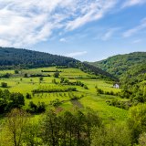 Foto: Shutterstock / Damian Hadjiyvanov